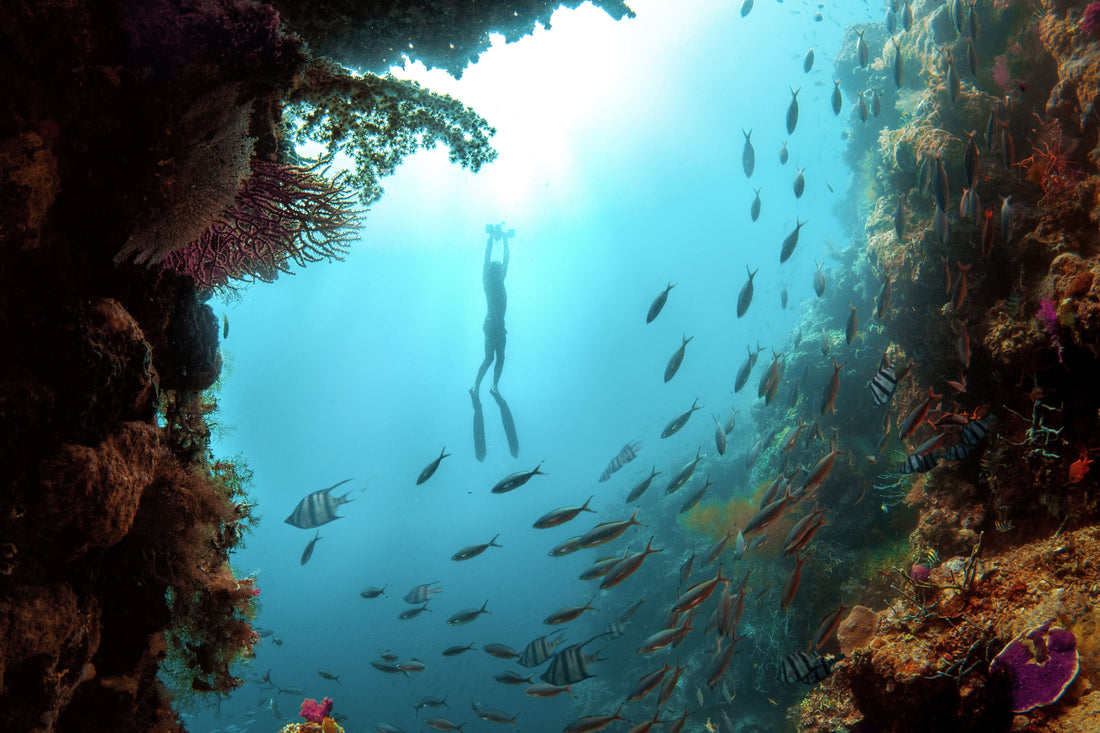 Sublue Whiteshark MixPro – Underwater Scooter for Diving and Snorkeling